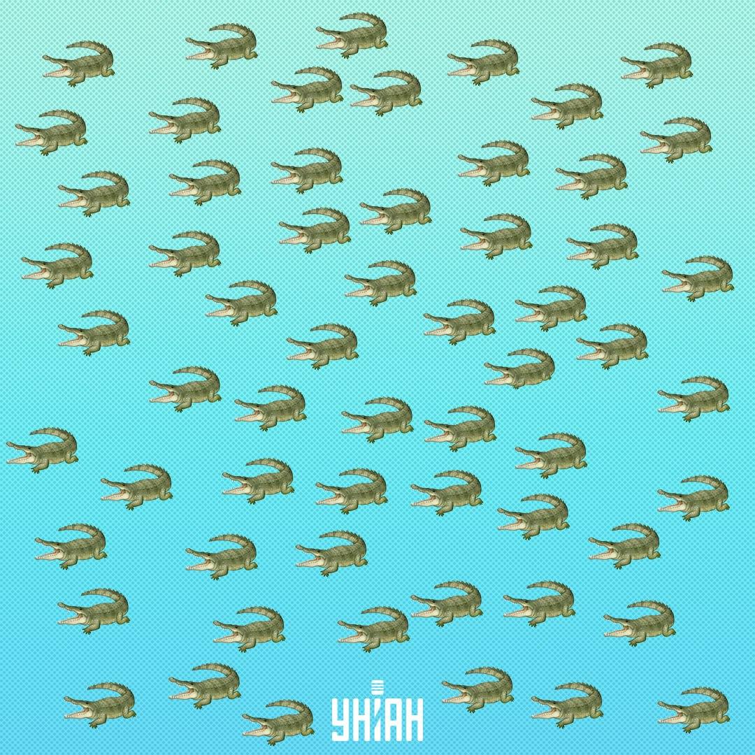 Влечугото е скрито, но трябва да го видите след 15 секунди / Collage Moje