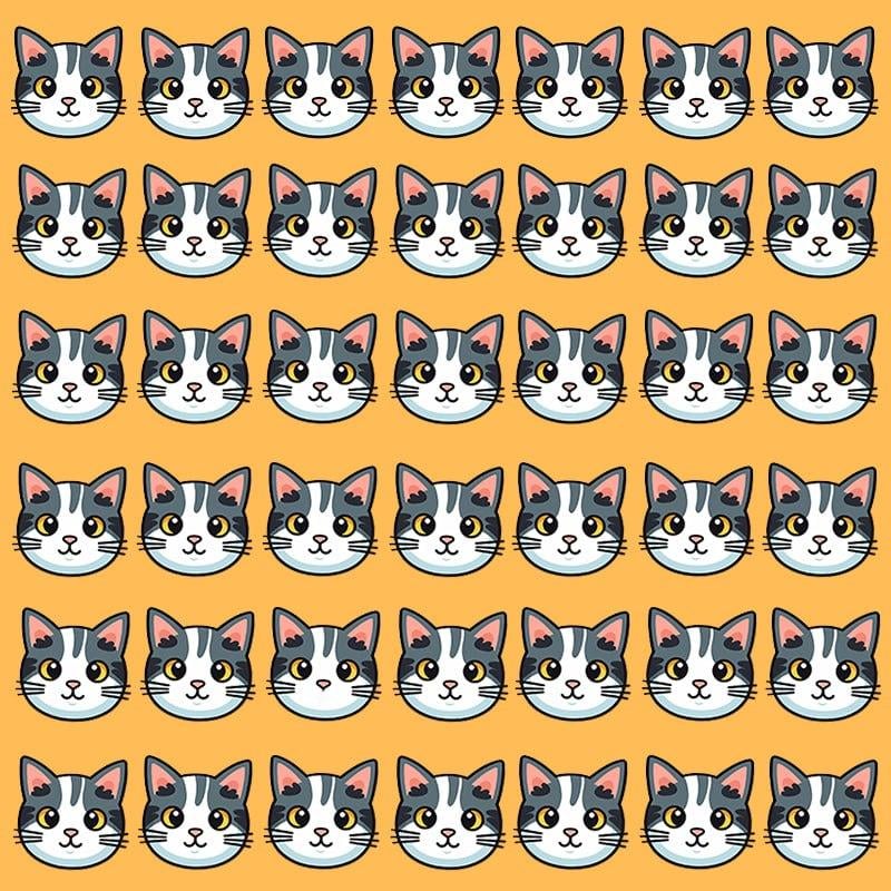 Тази оптична илюзия е възможна само за хора с грандиозен коефициент на интелигентност / Moje image