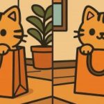 IQ тест: открийте 3 разлики в снимка на сладка котка