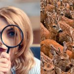 Намиране на три кози сред елени за 11 секунди: много