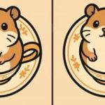 Тест за интелигентност: открийте 3 разлики в снимка на хамстер